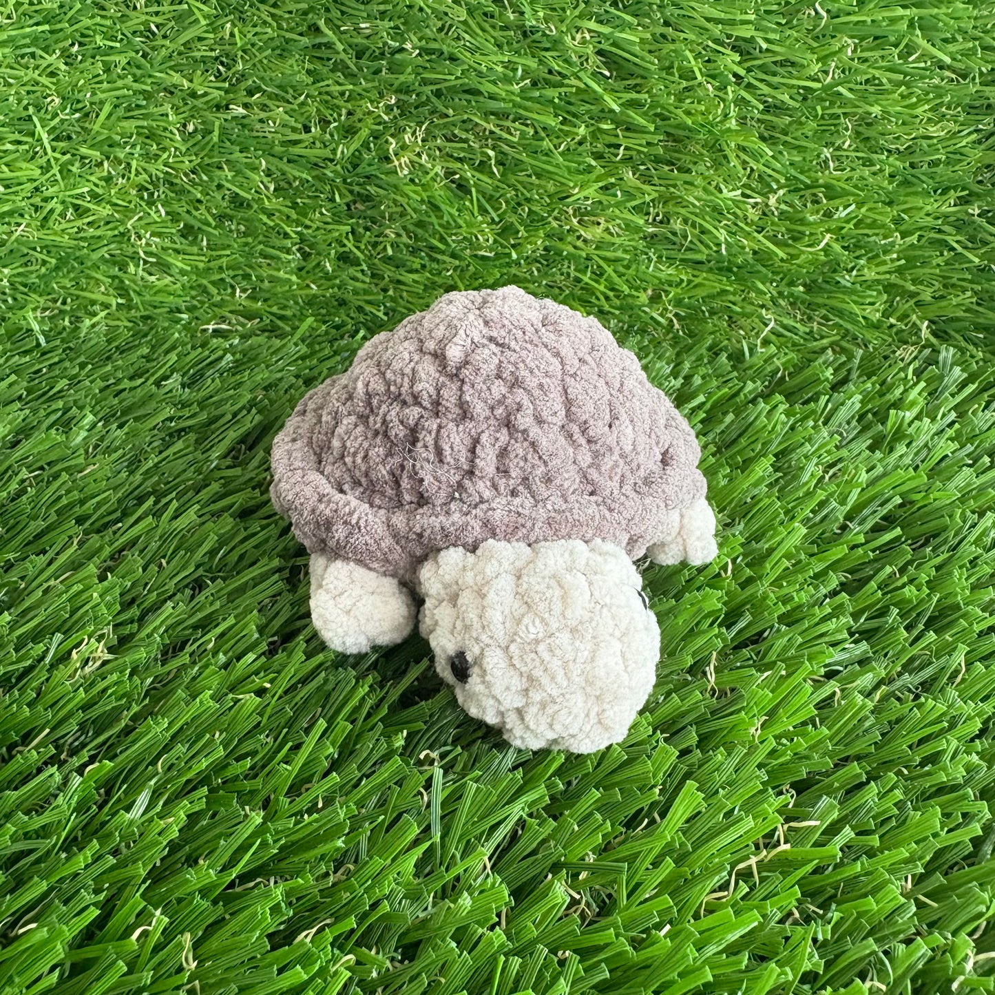 Pets: Mini Turtle XS