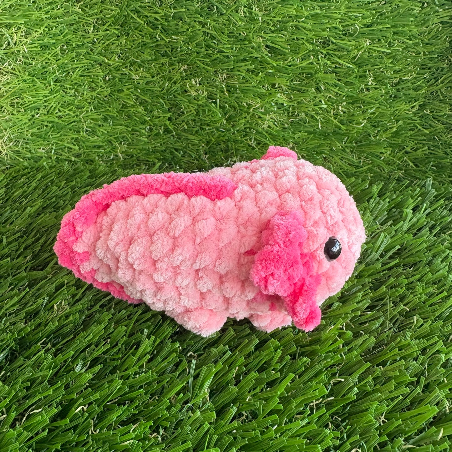 Sealife: Axolotl S