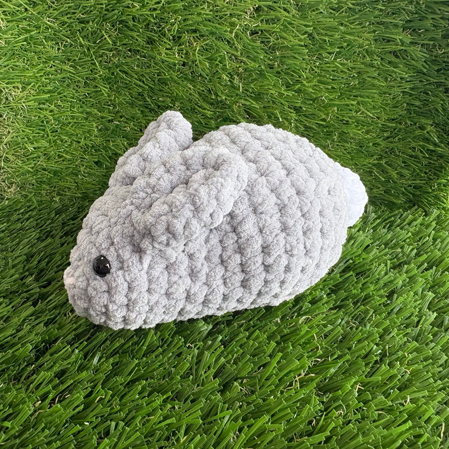 Pets: Rabbit M