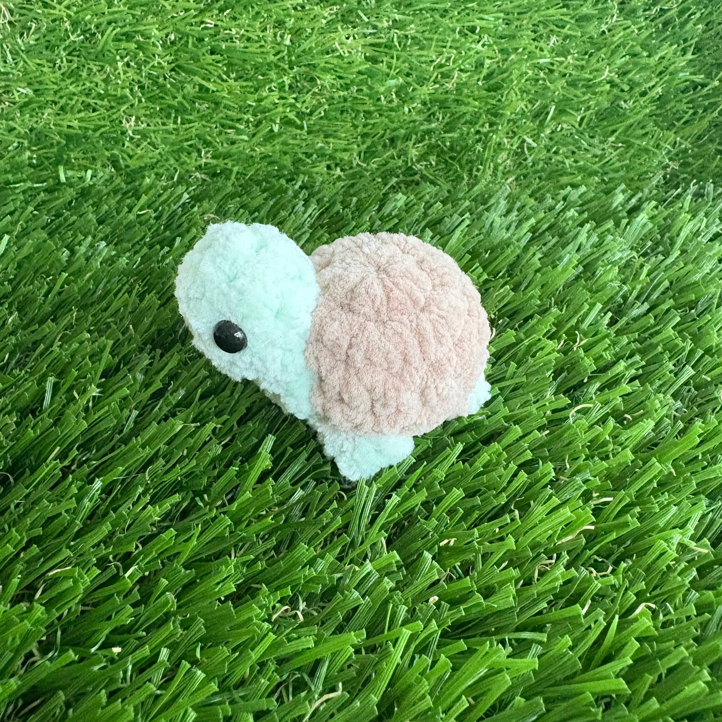 Pets: Mini Tortoise XS