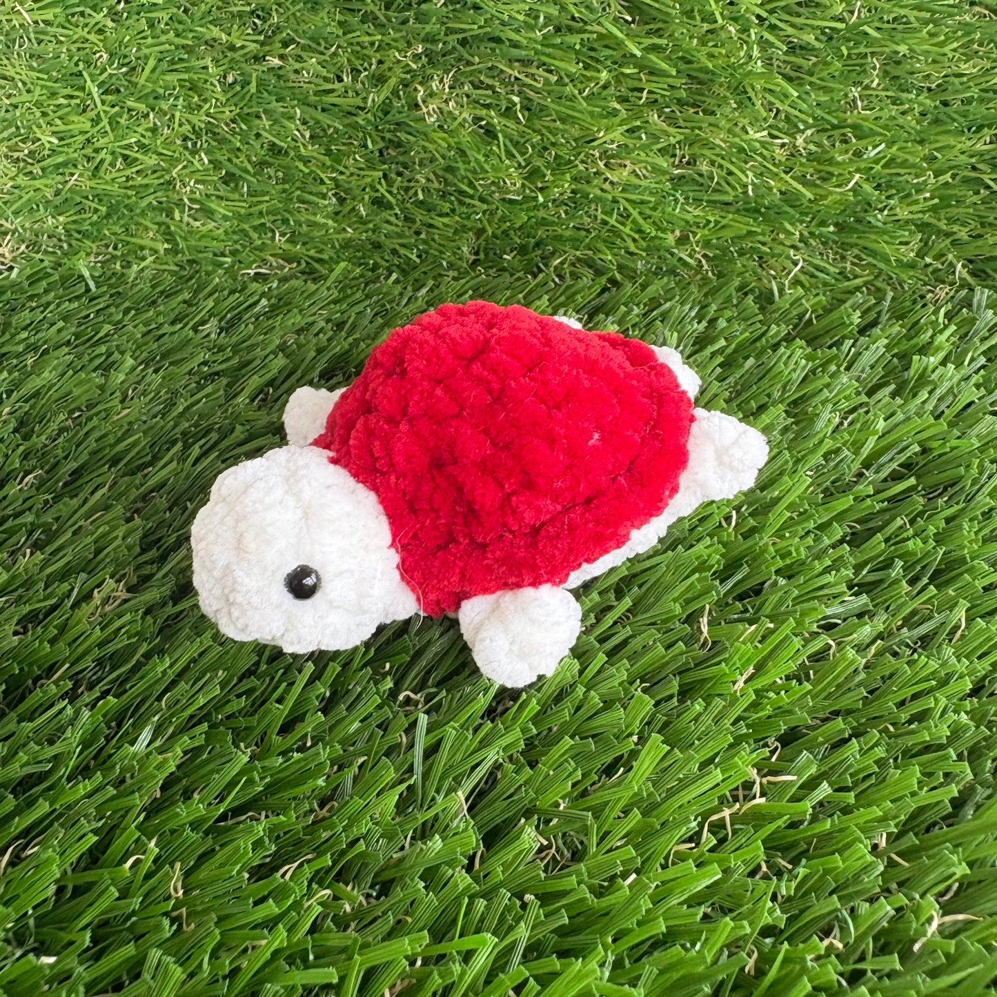 Pets: Mini Turtle XS