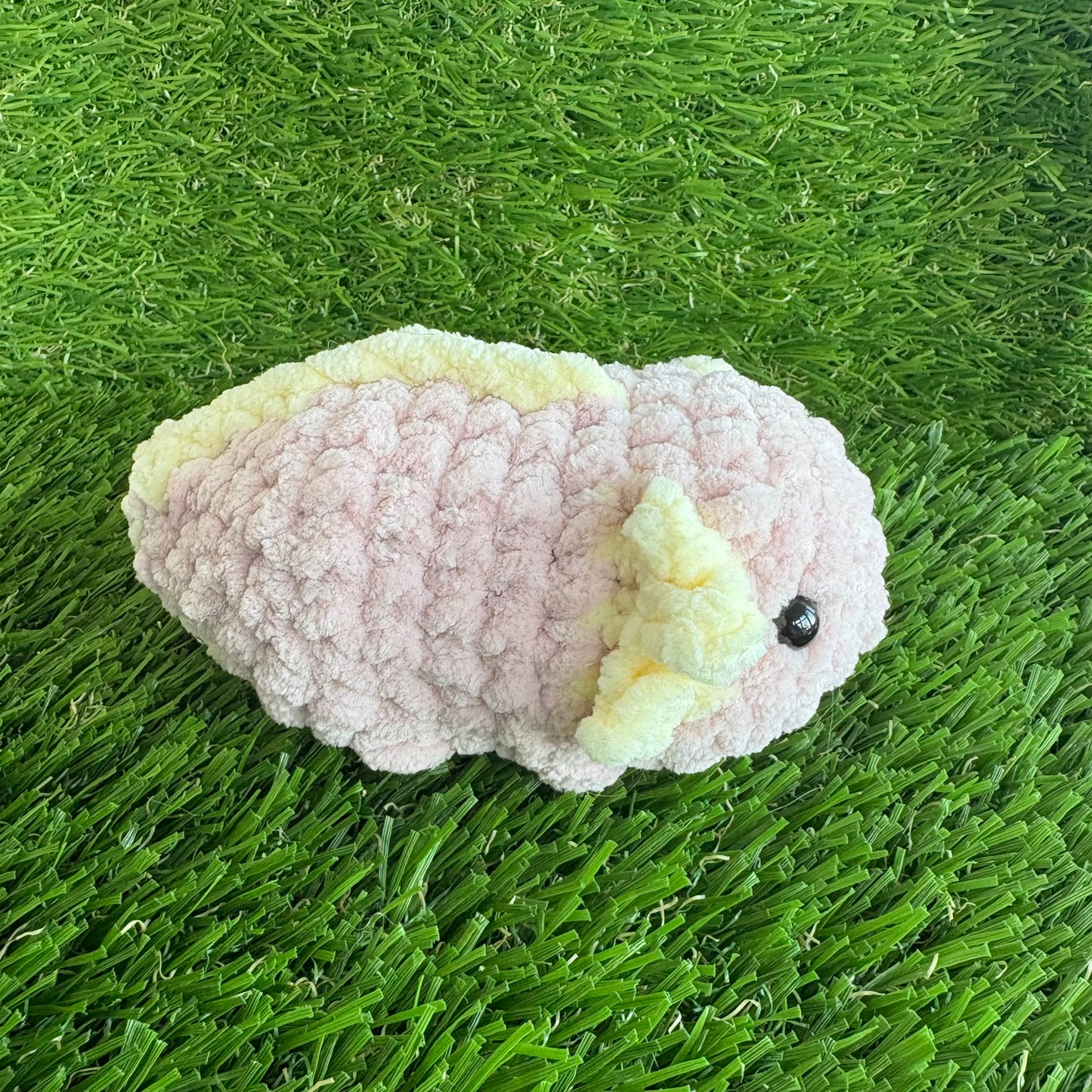 Sealife: Axolotl S