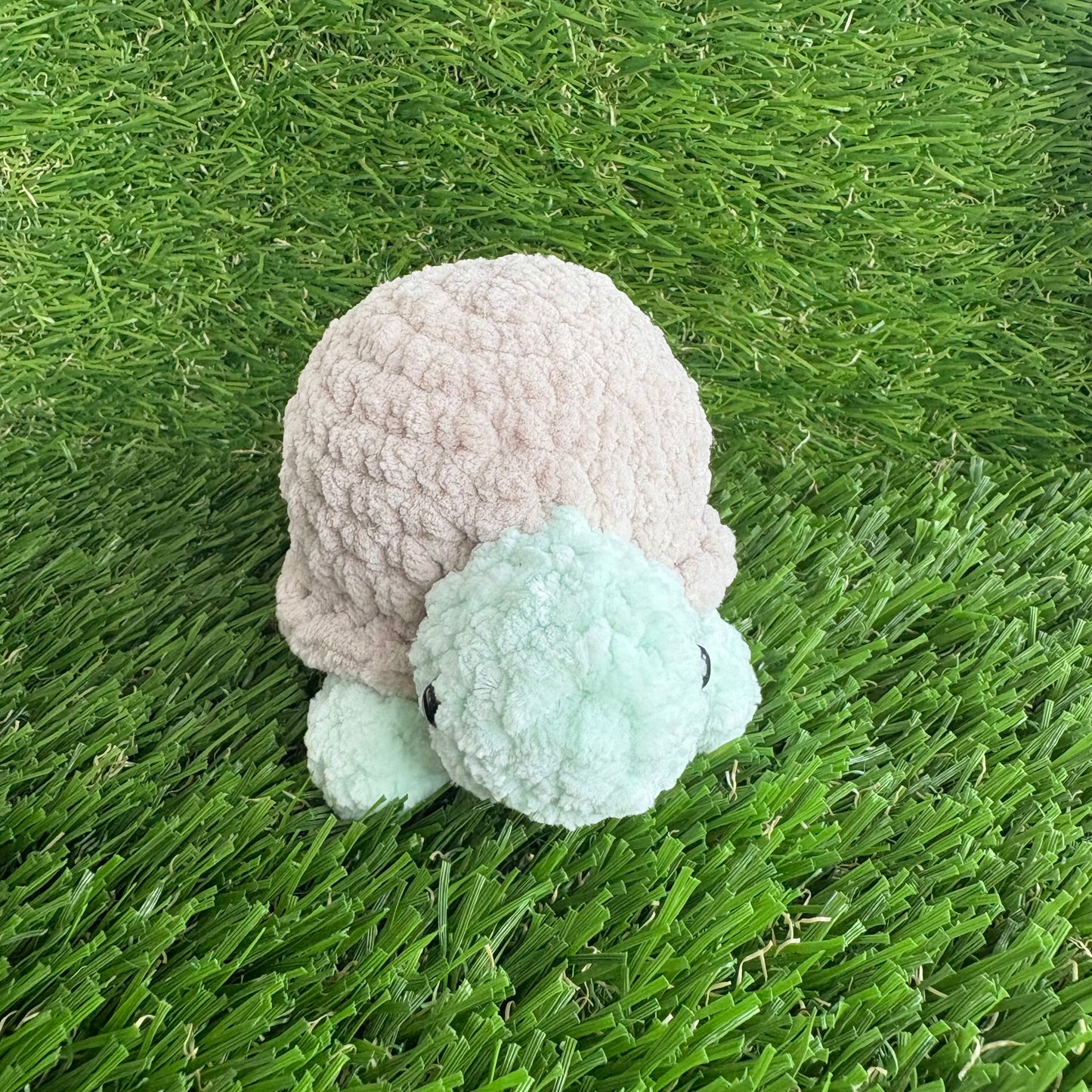 Pets: Tortoise S
