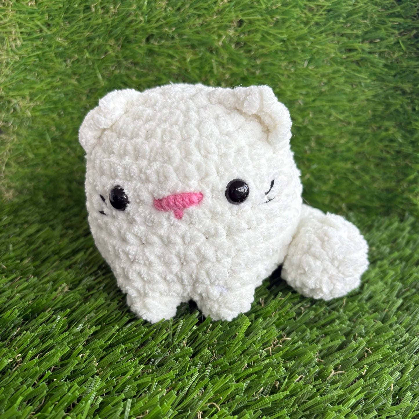 Pets: Cat M