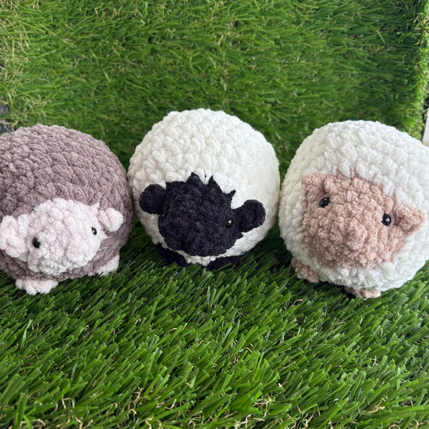 Farmyard: Sheep S