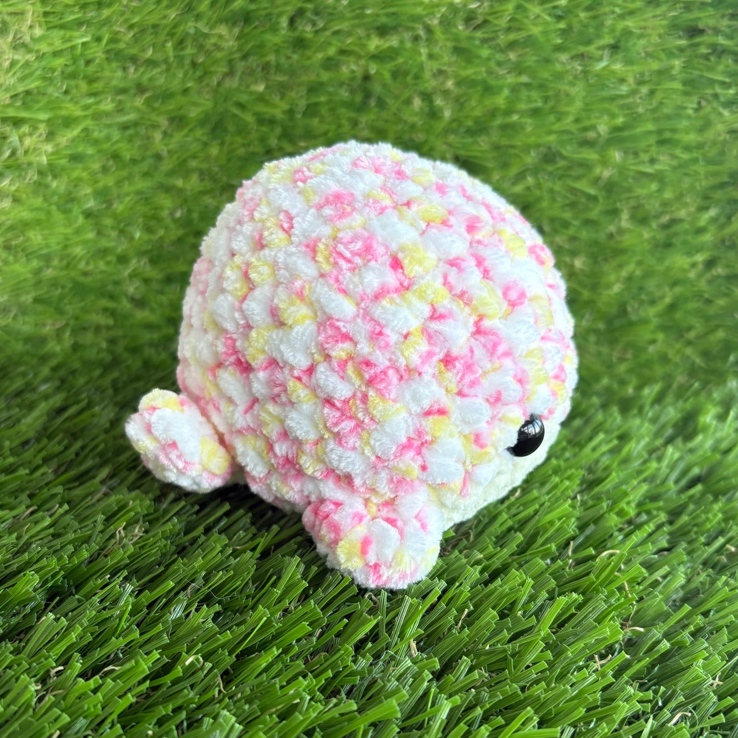 Sealife: Whale M