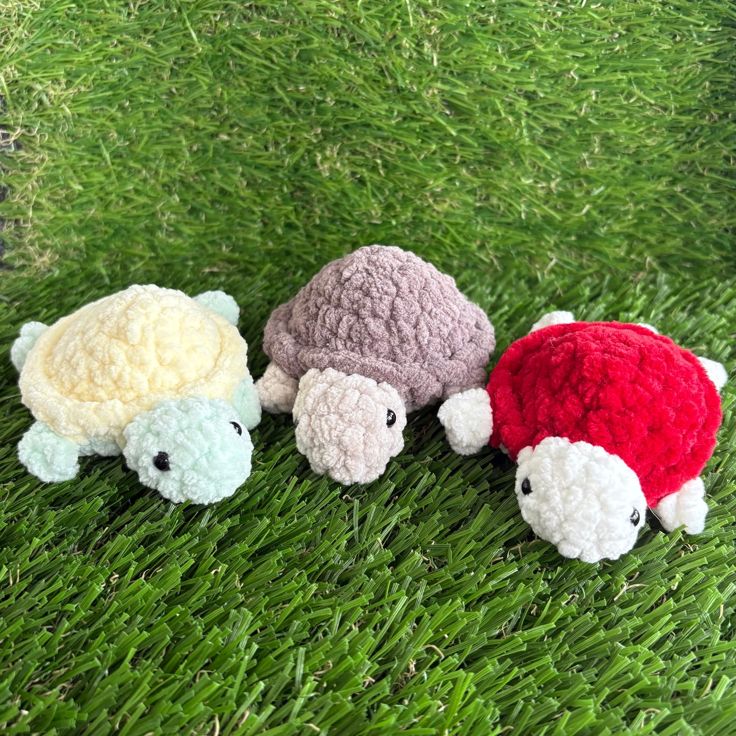Pets: Mini Turtle XS