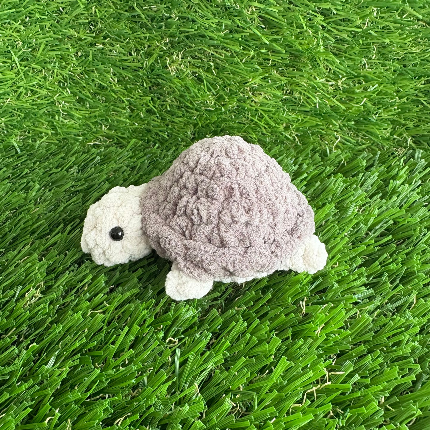 Pets: Mini Turtle XS