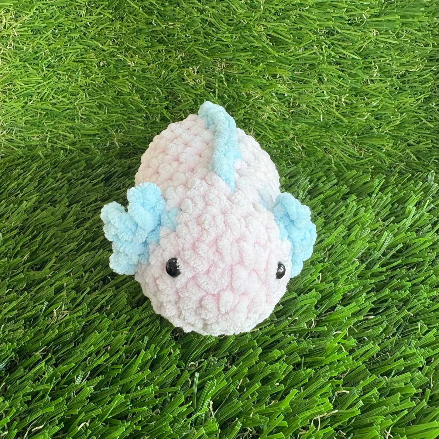 Sealife: Axolotl S