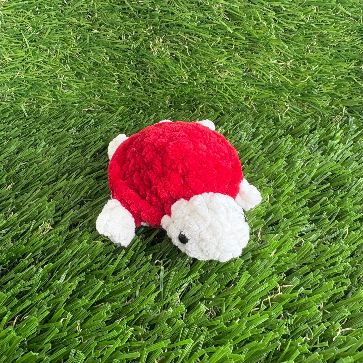 Pets: Mini Turtle XS