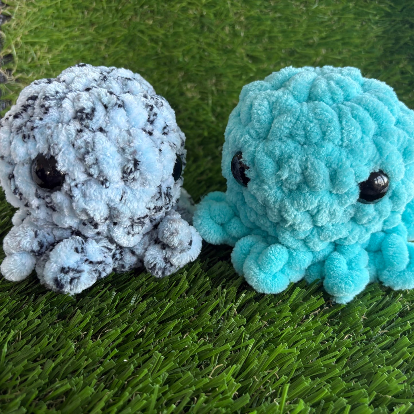 Sealife: Octopus M
