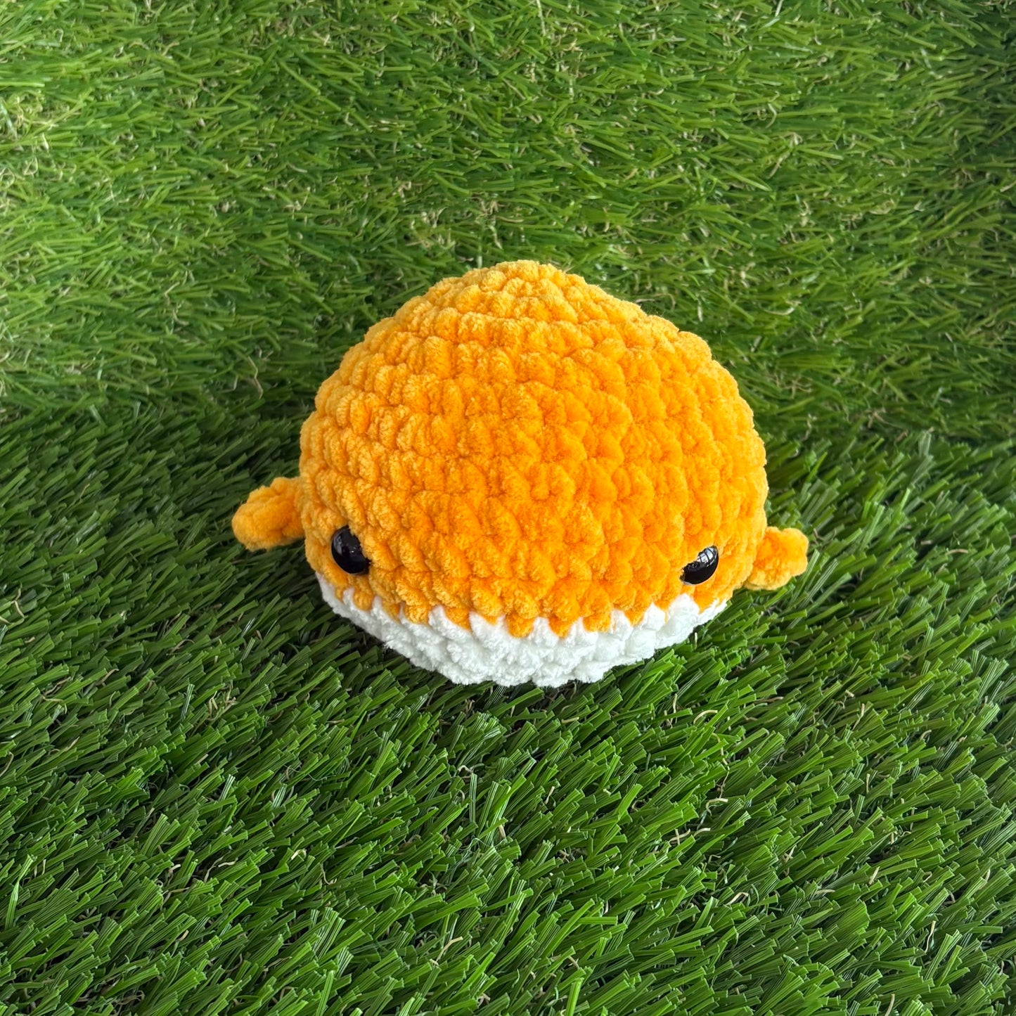 Sealife: Whale M