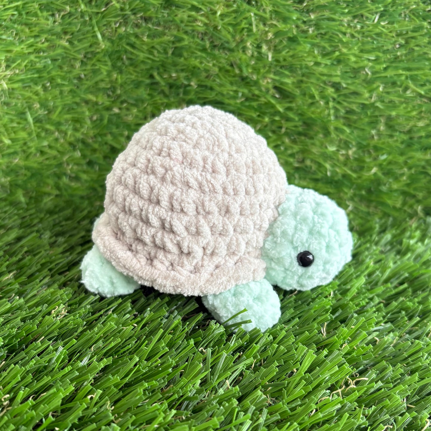 Pets: Tortoise S