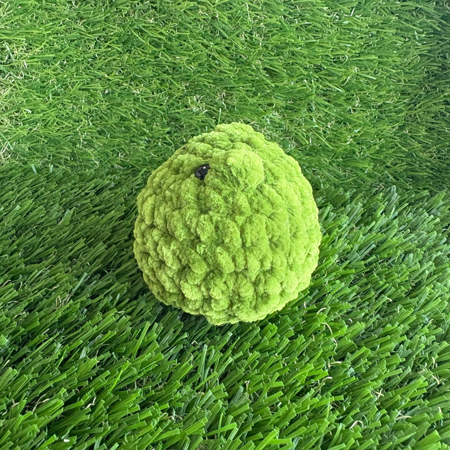 Woodland: Frog S