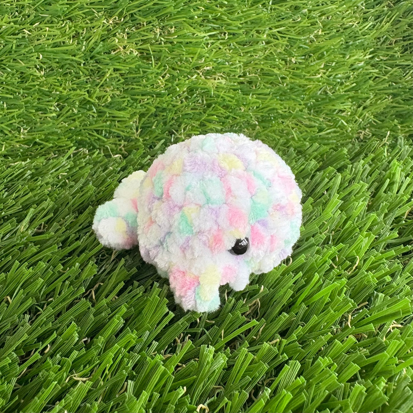 Sealife: Baby Whale XS
