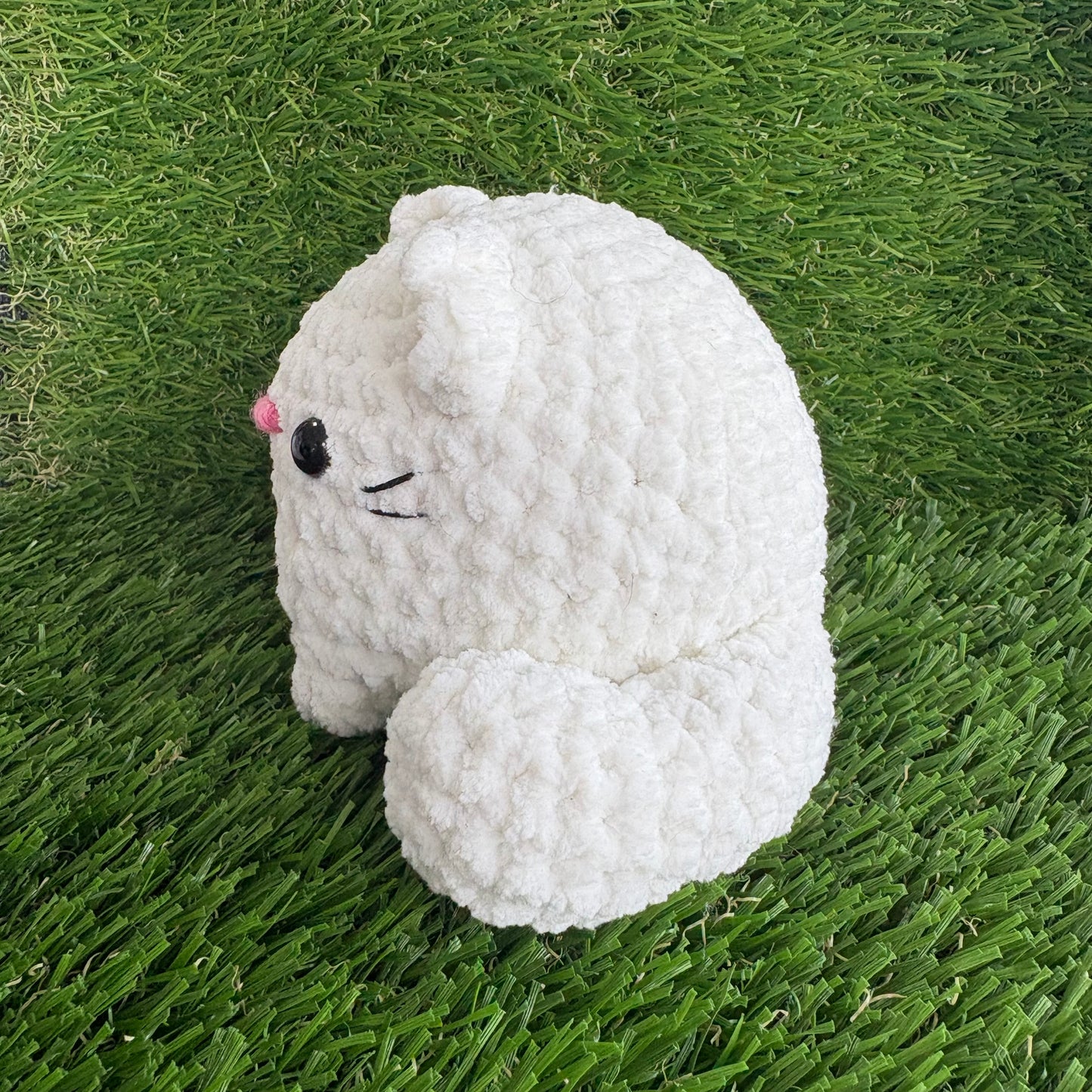 Pets: Cat M