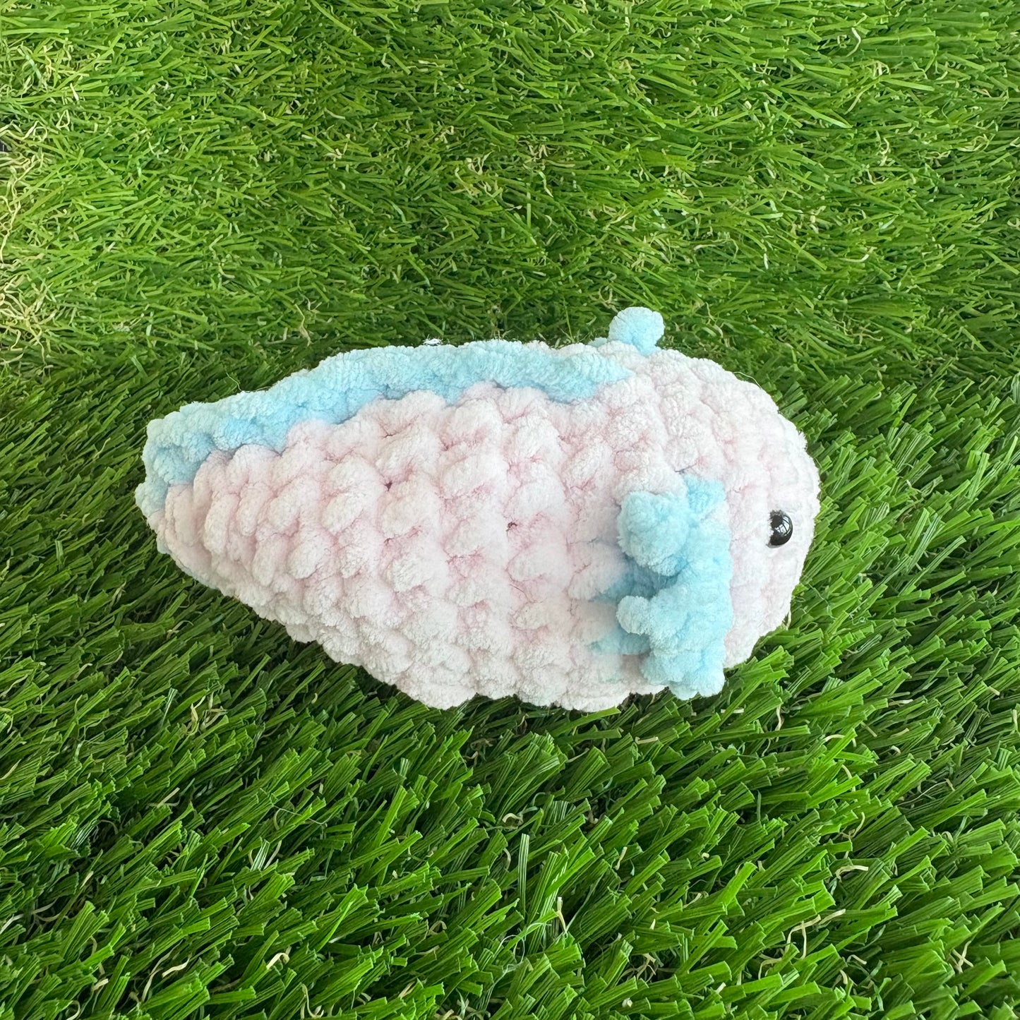Sealife: Axolotl S