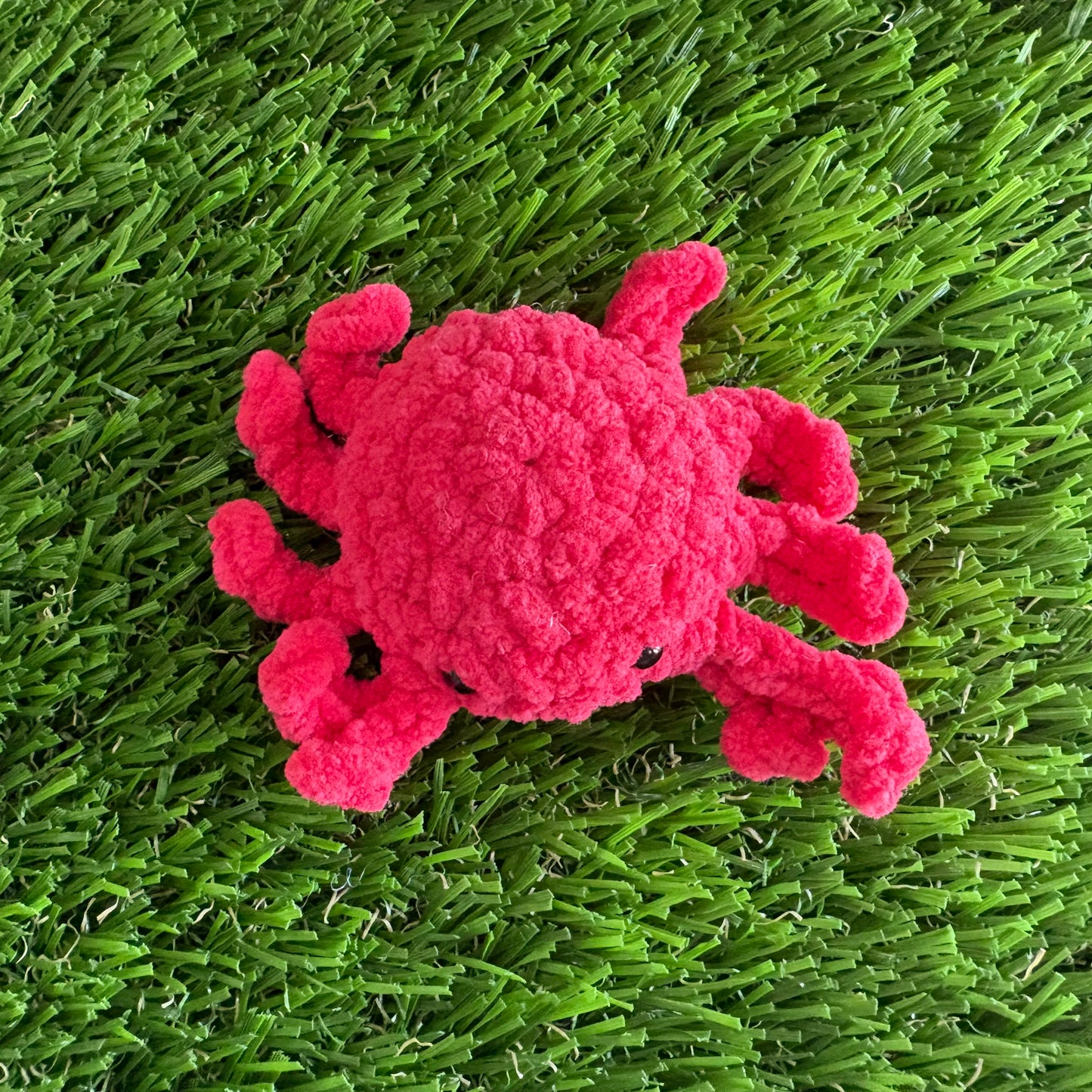 Sealife: Crab XS