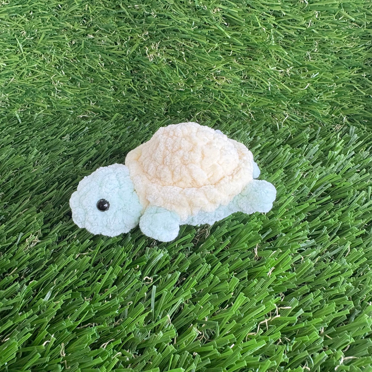 Pets: Mini Turtle XS