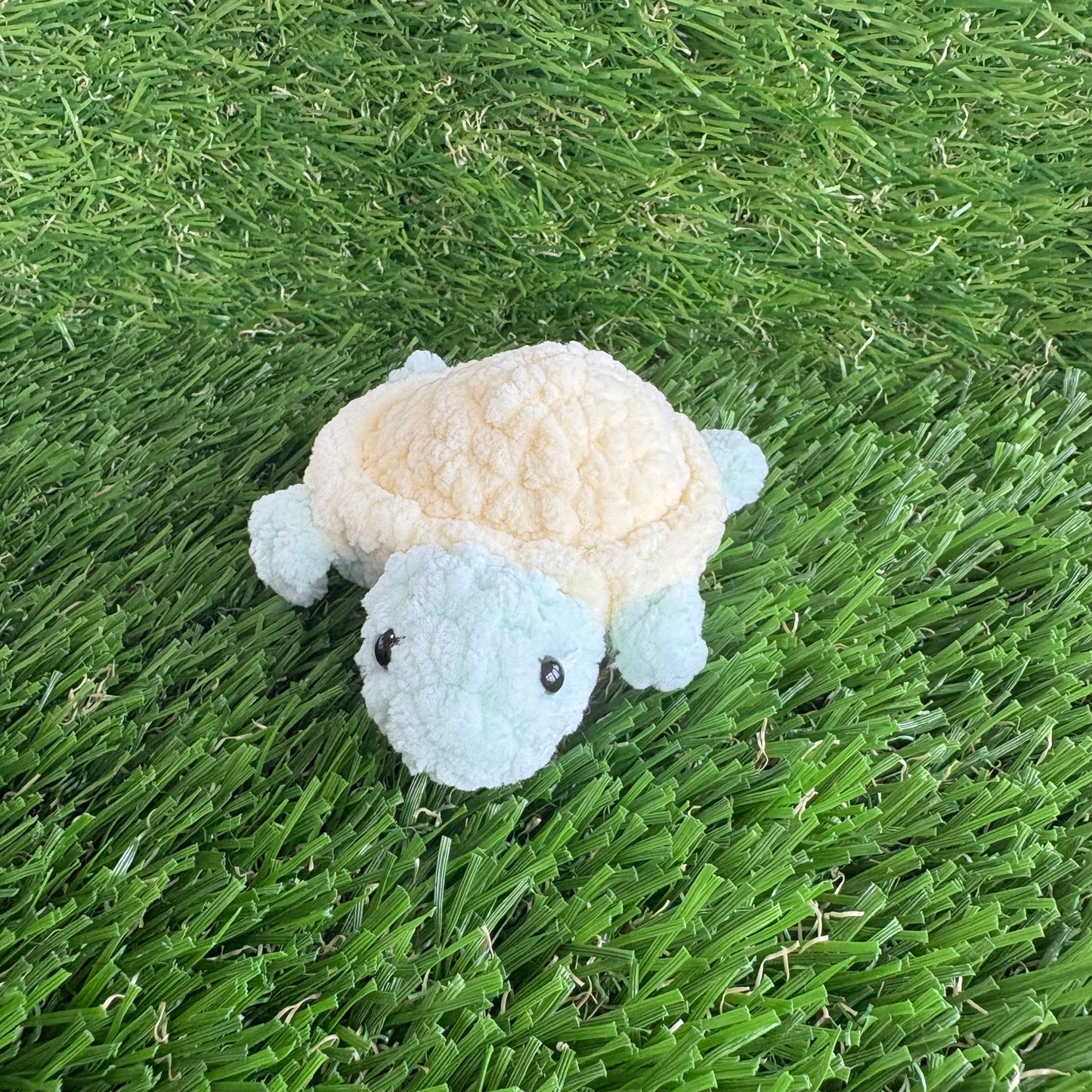 Pets: Mini Turtle XS