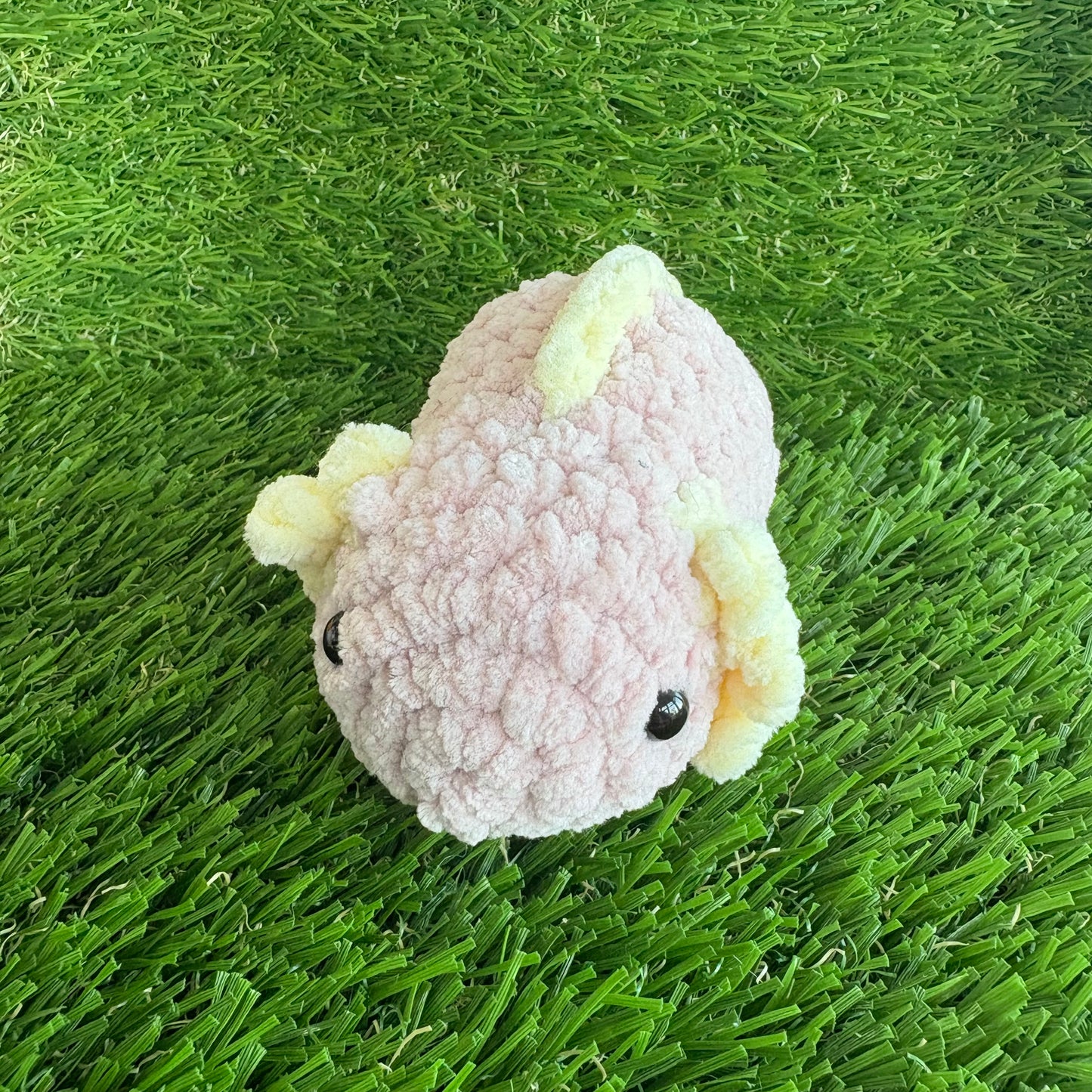 Sealife: Axolotl S