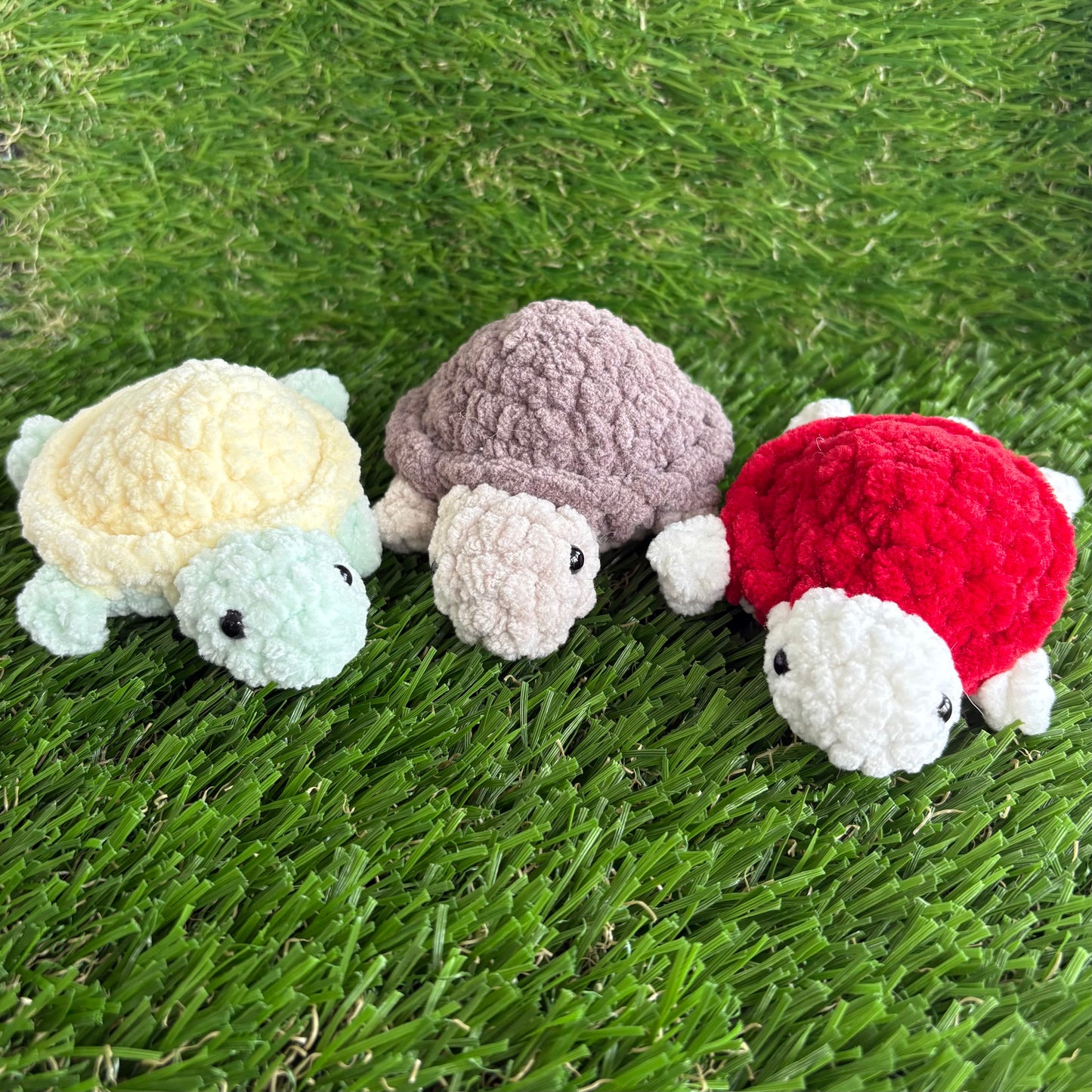 Pets: Mini Turtle XS