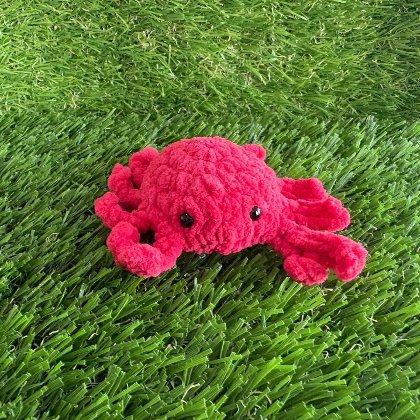 Sealife: Crab XS