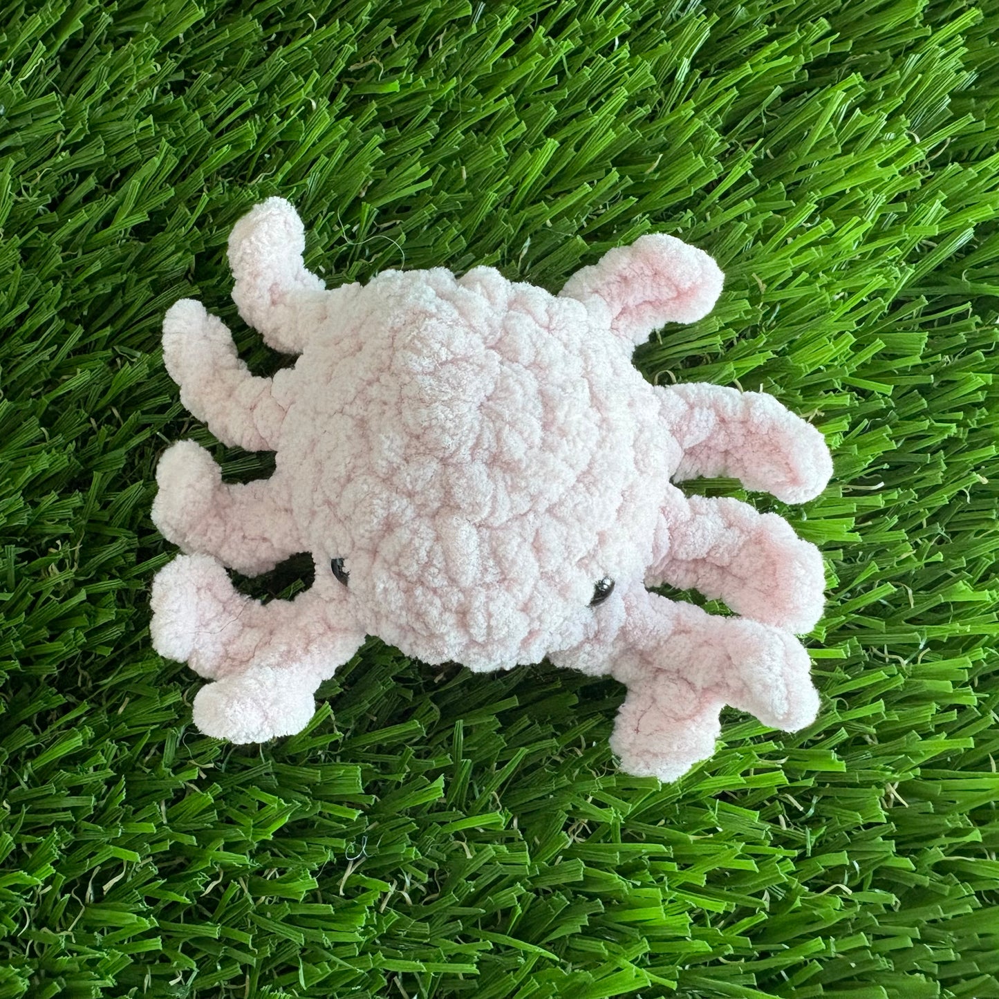 Sealife: Crab XS