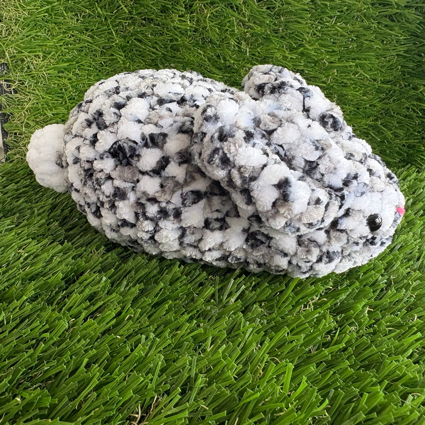 Pets: Rabbit M