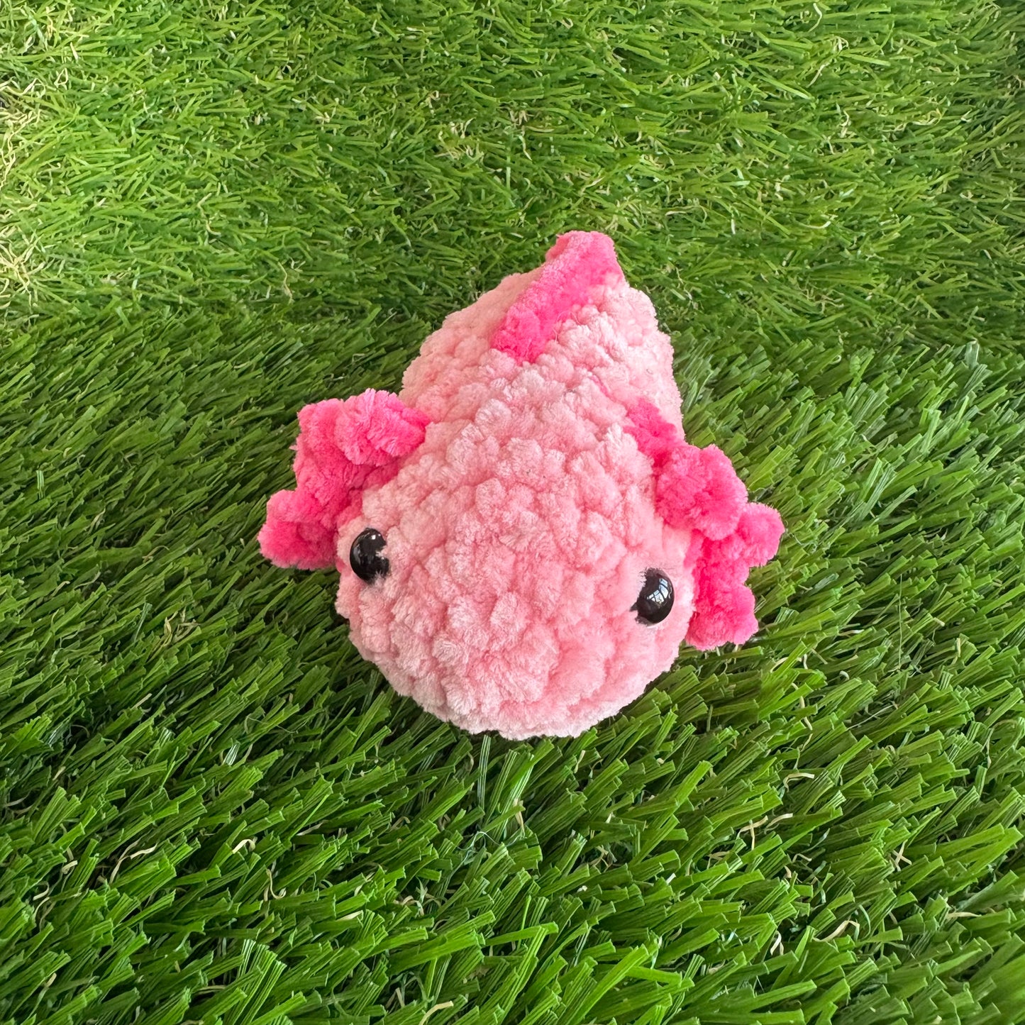 Sealife: Axolotl S