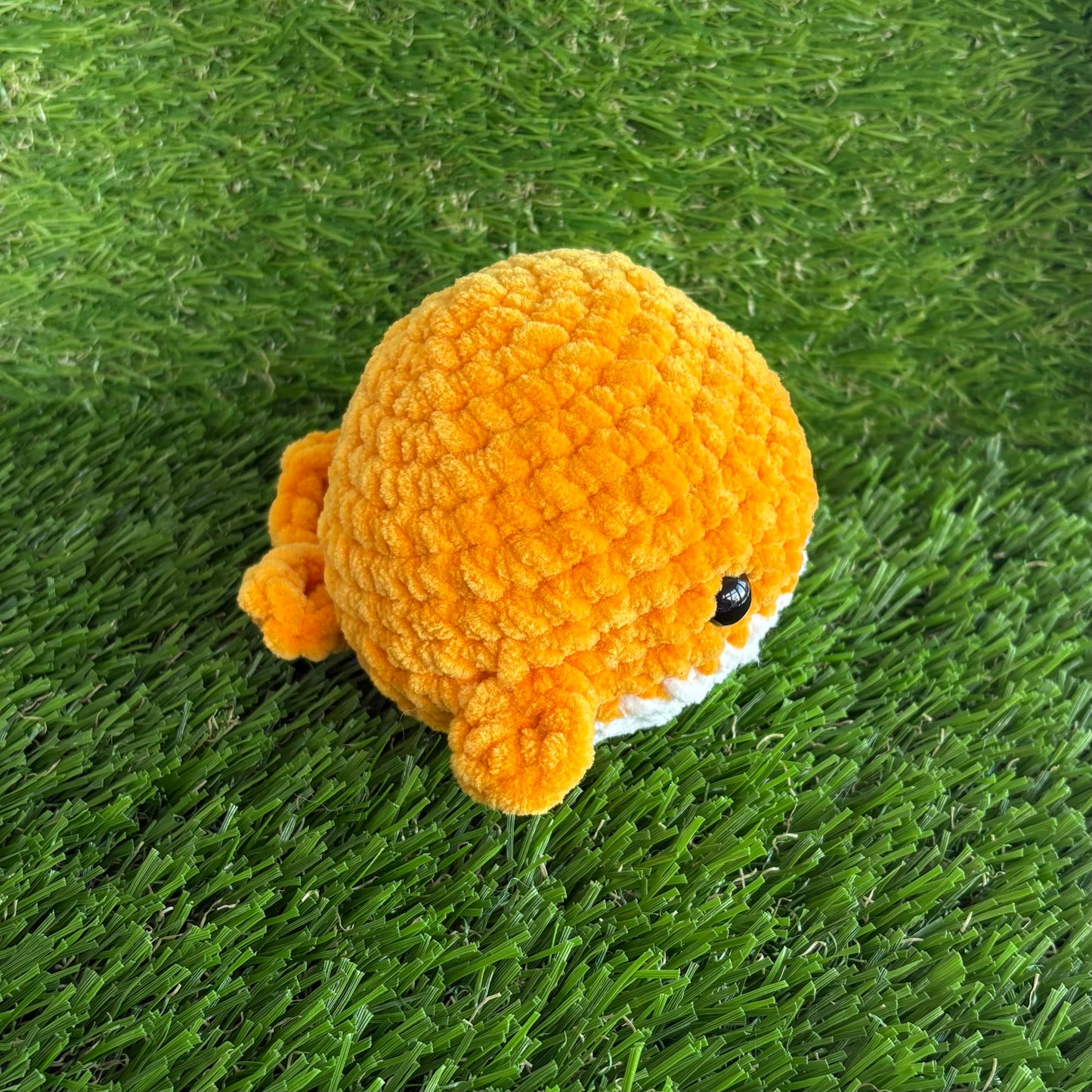 Sealife: Whale M