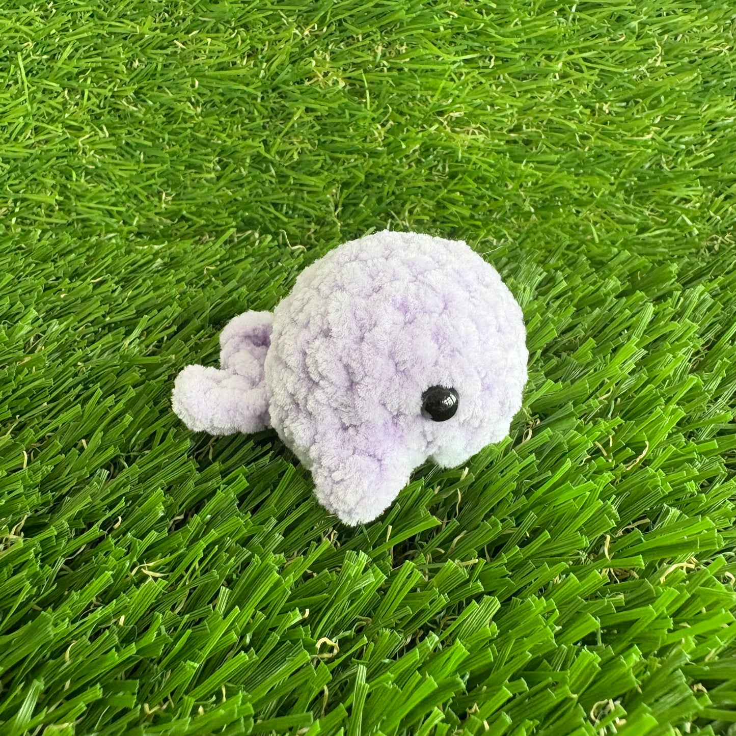 Sealife: Baby Whale XS