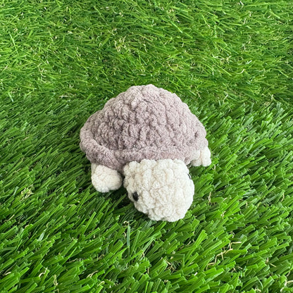 Pets: Mini Turtle XS