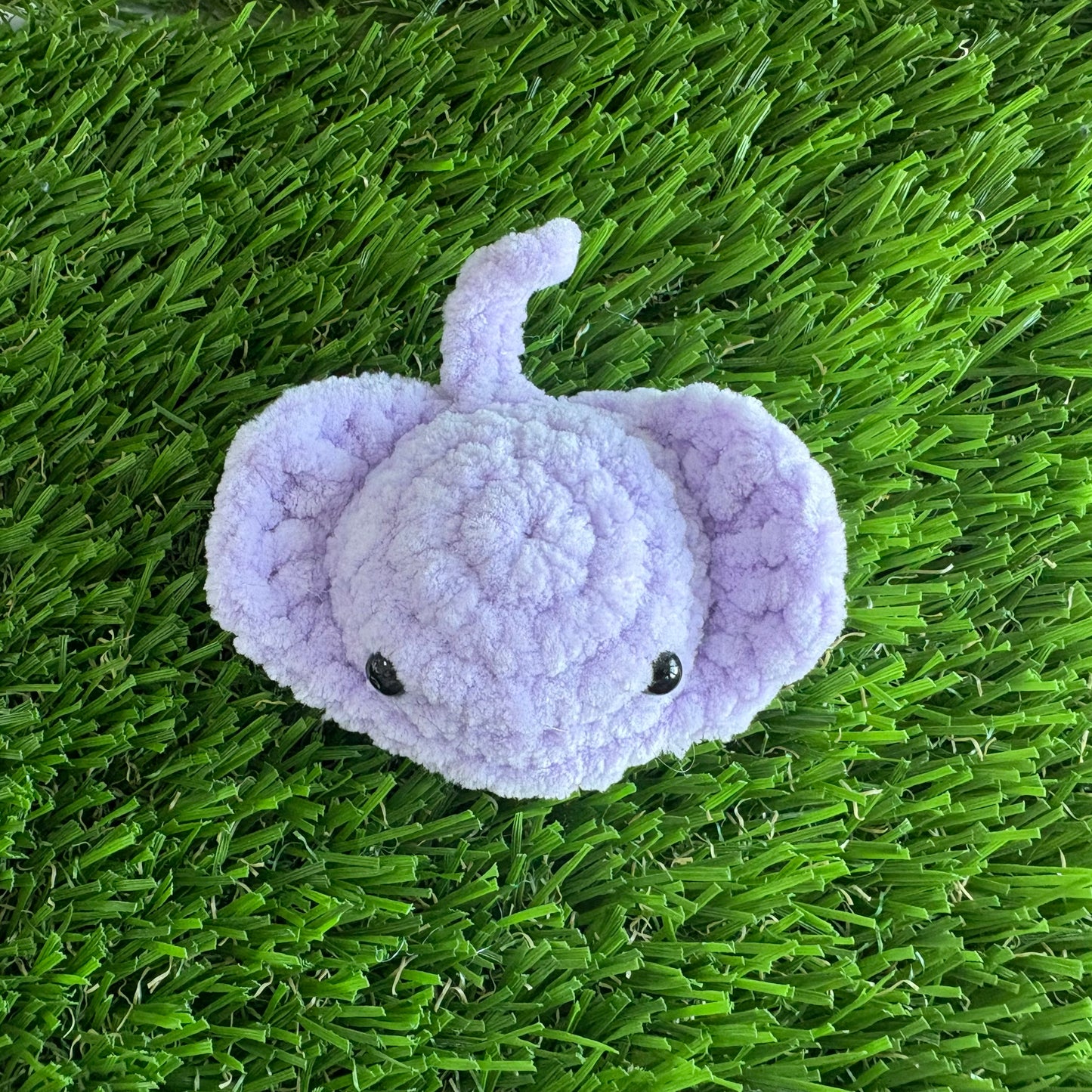 Sealife: Stringray XS