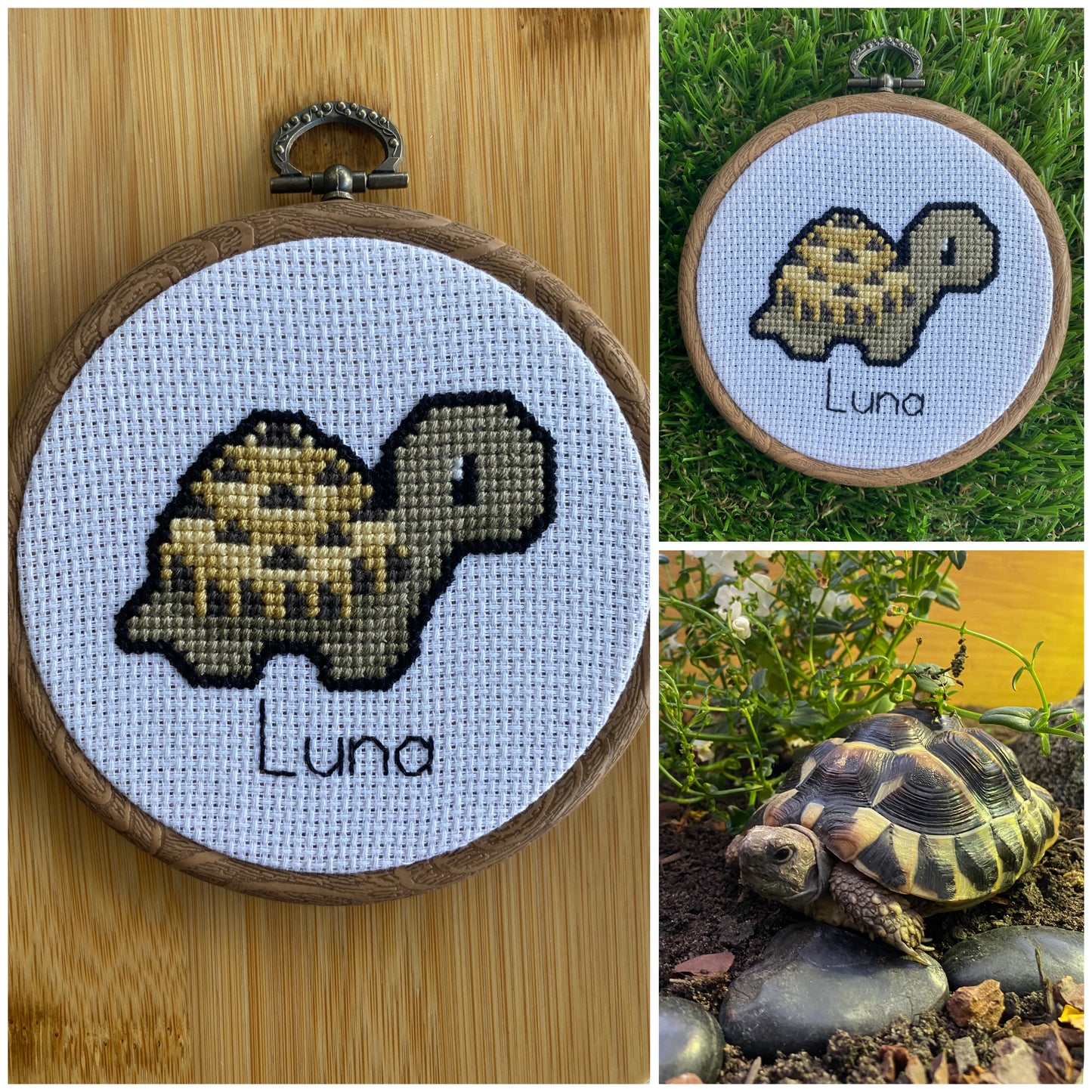 Customised Tortoise Cross Stitch