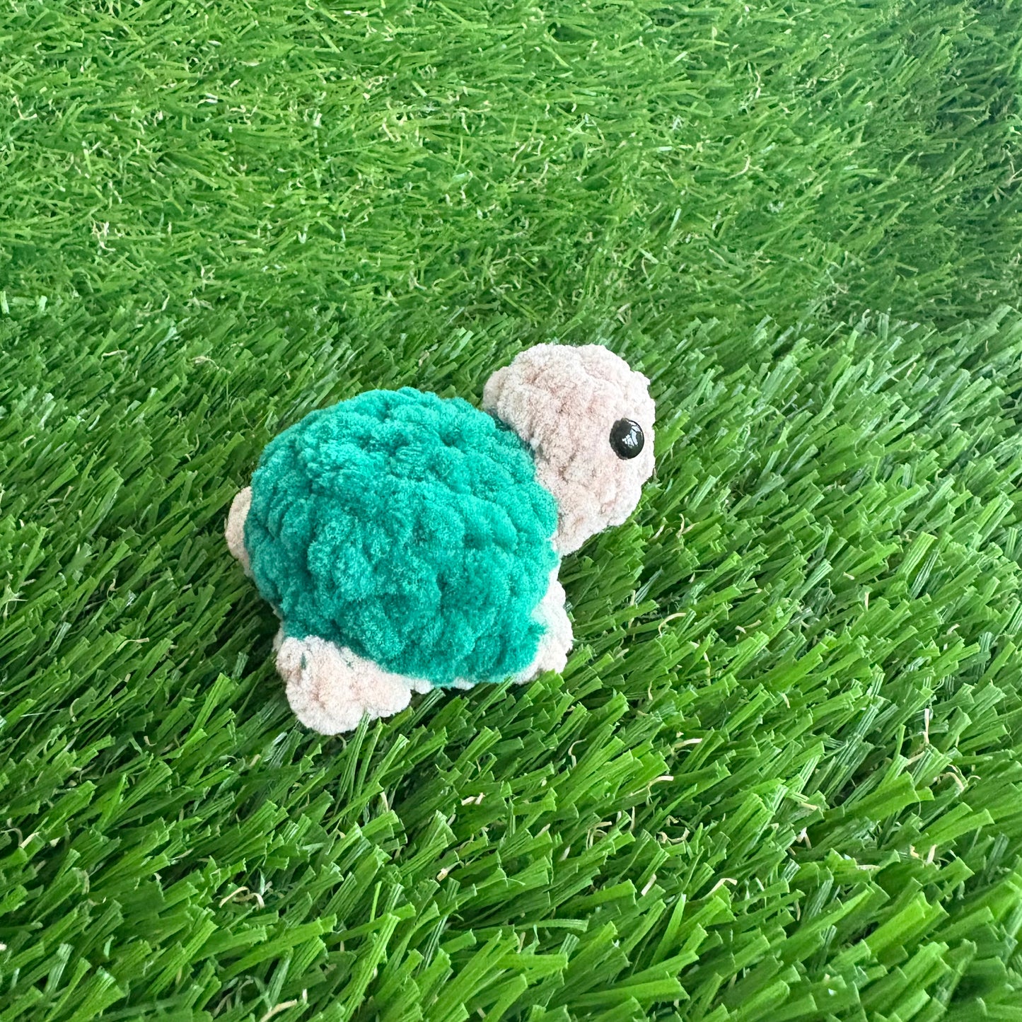 Pets: Mini Tortoise XS