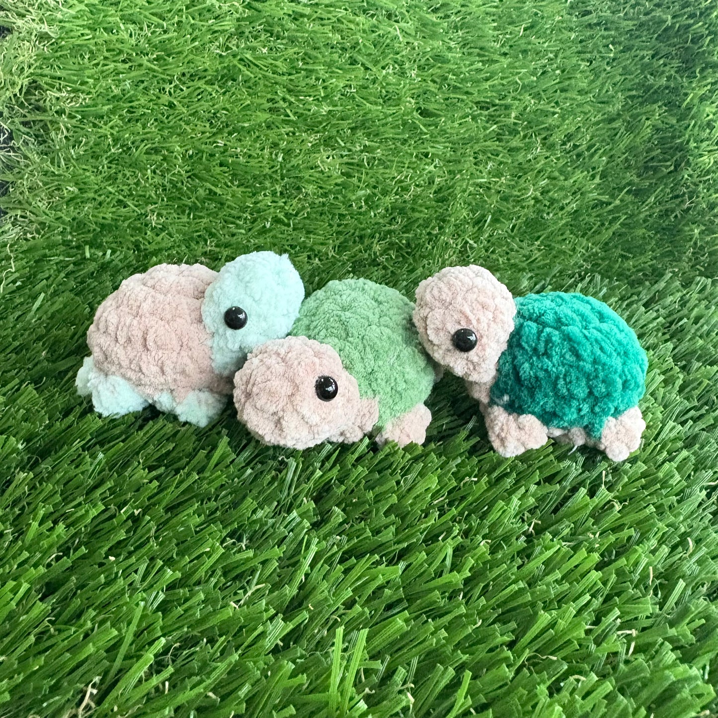 Pets: Mini Tortoise XS