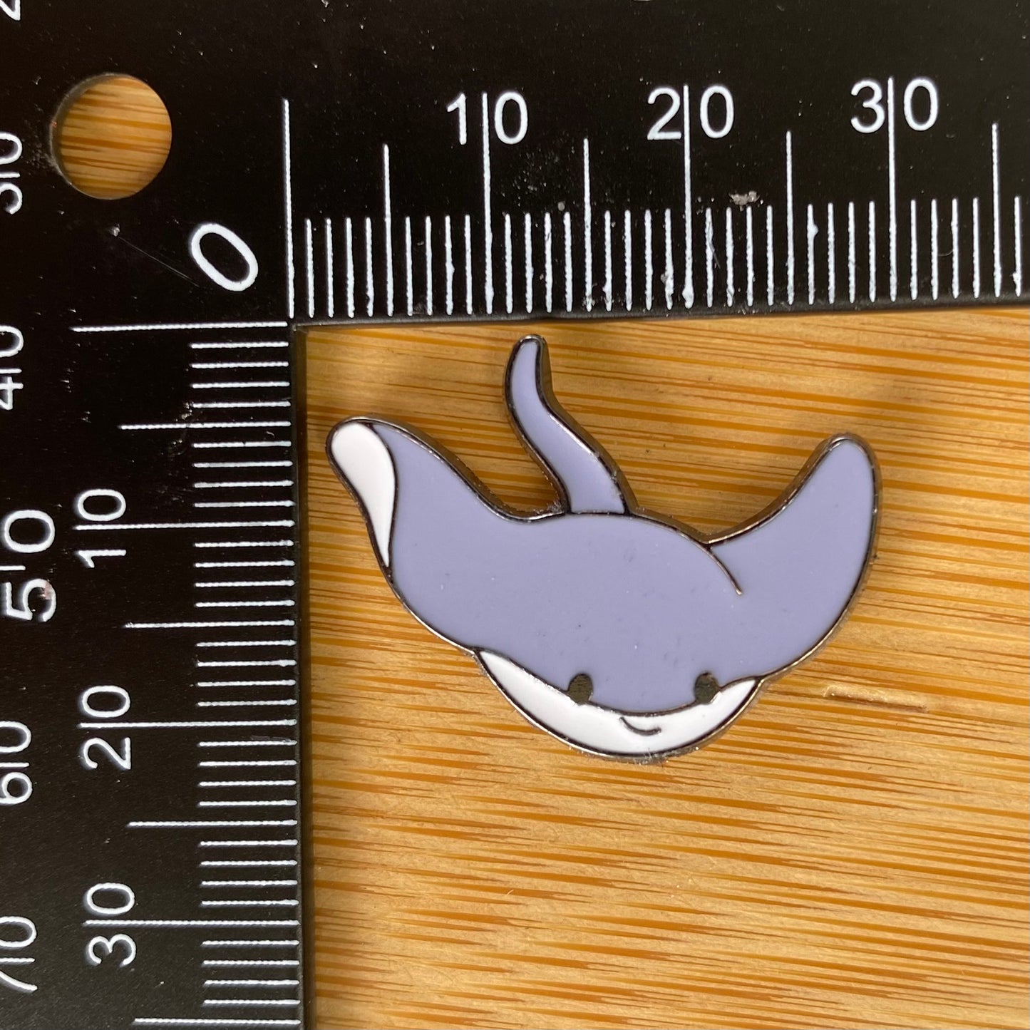 Little Stingray Needle Minder