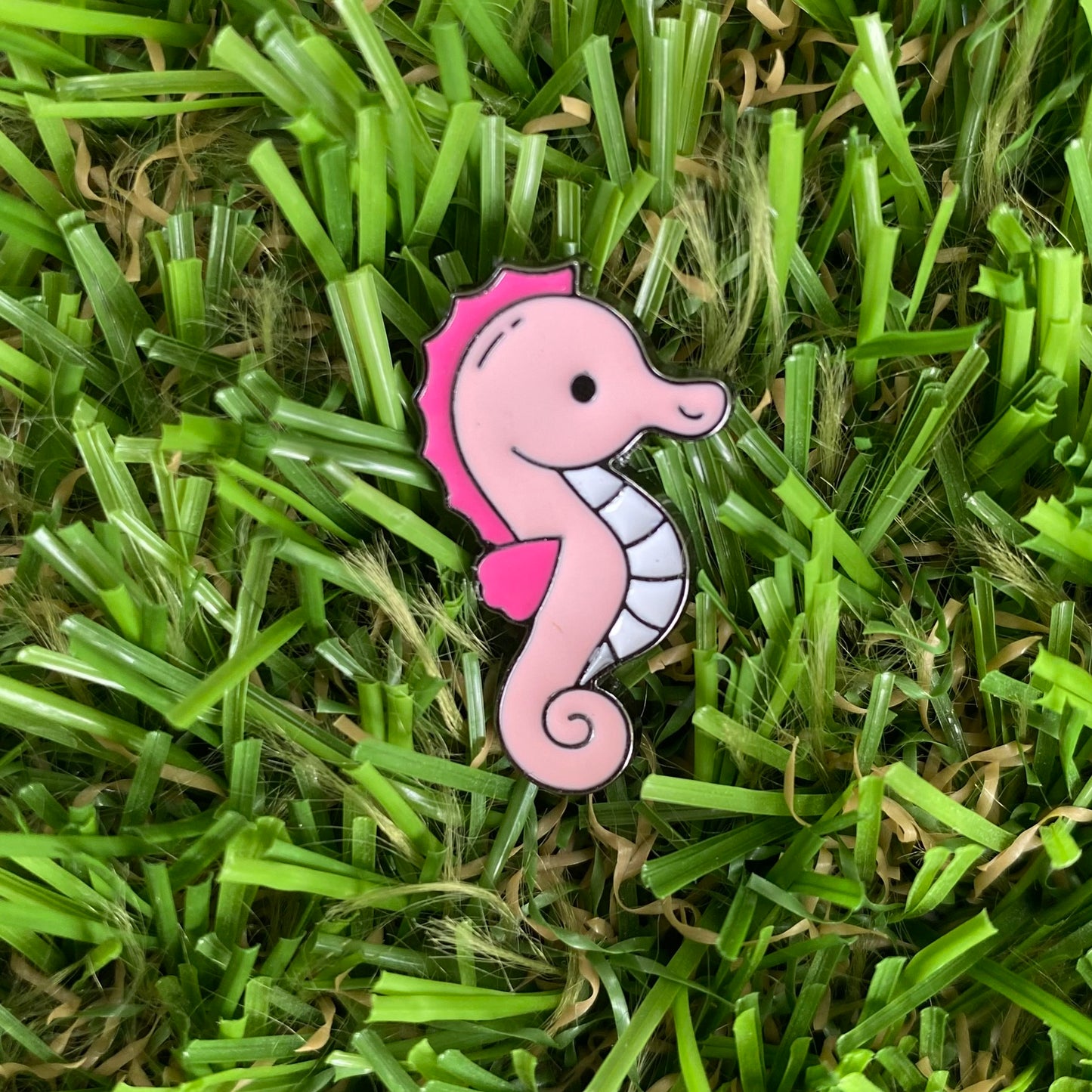 Seahorse Needle Minder