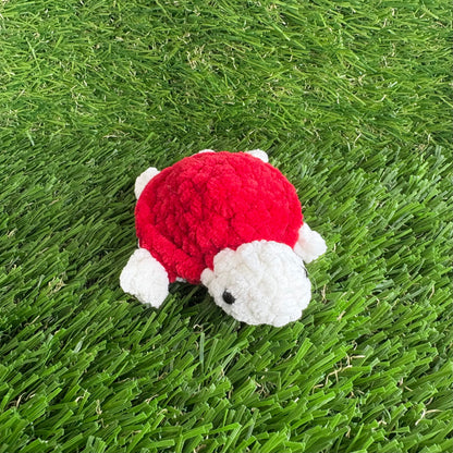 Pets: Mini Turtle XS