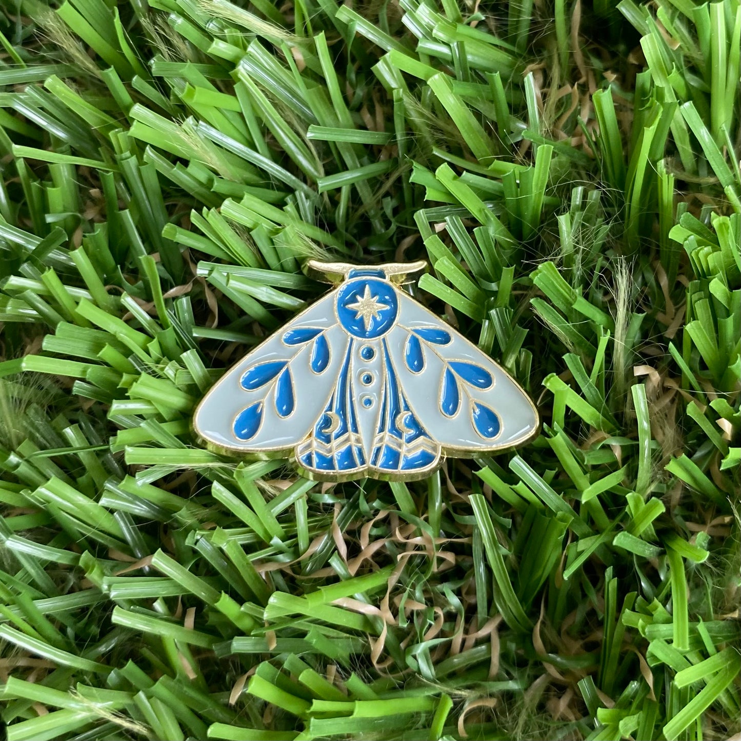 Blue Foliage Moth Needle Minder