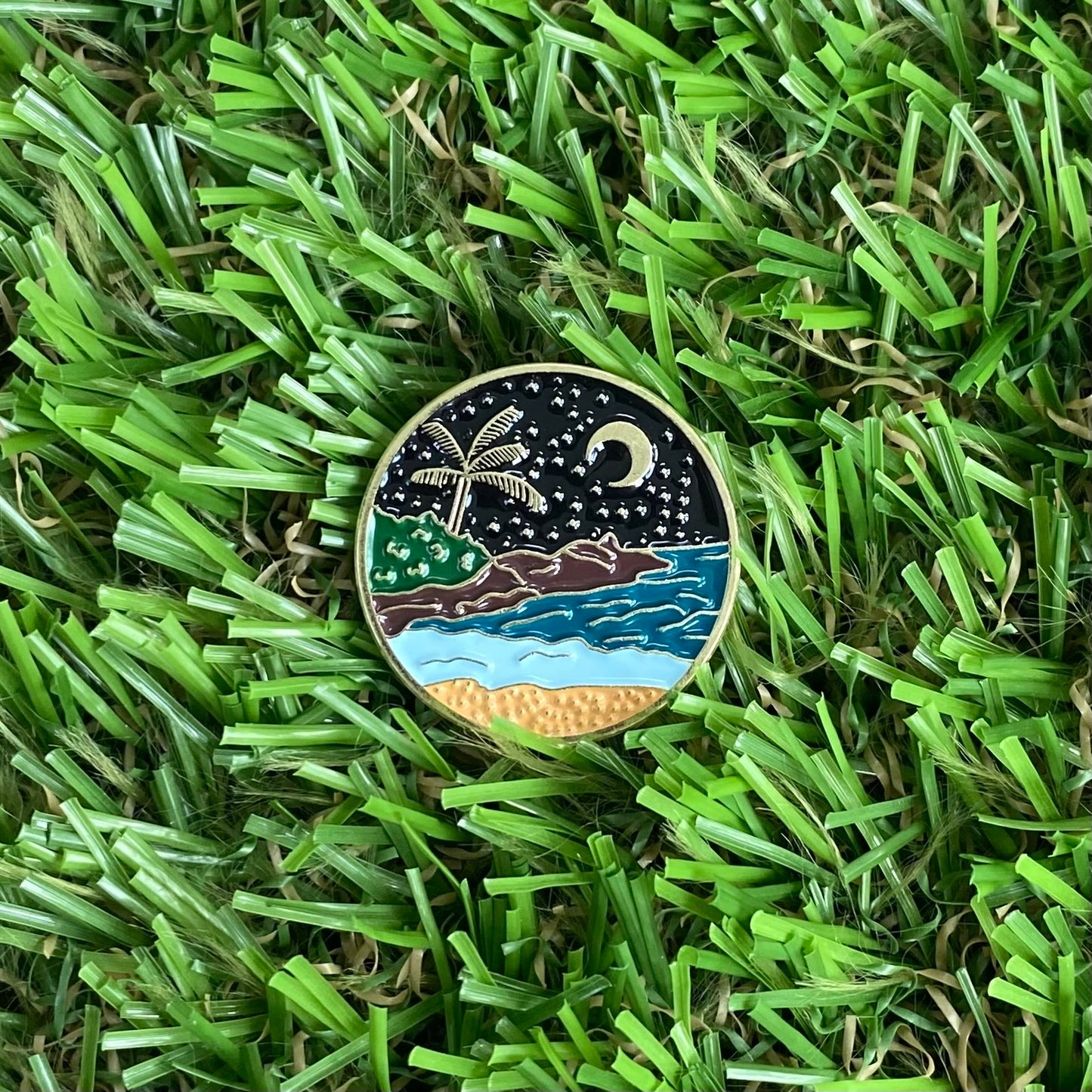 Starry Beach Needle Minder’s