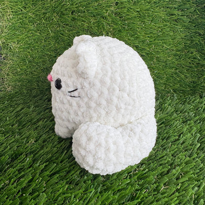 Pets: Cat M