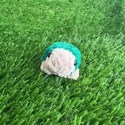 Pets: Mini Tortoise XS