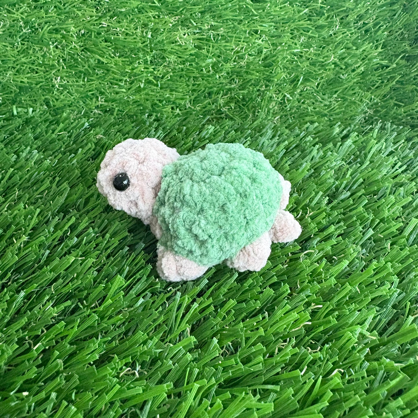 Pets: Mini Tortoise XS
