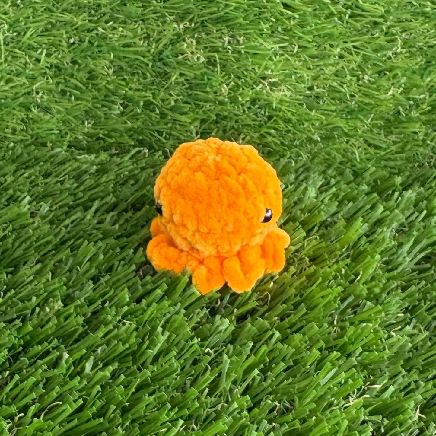 Sealife: Mini Octos XXS