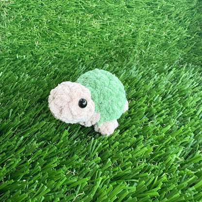 Pets: Mini Tortoise XS