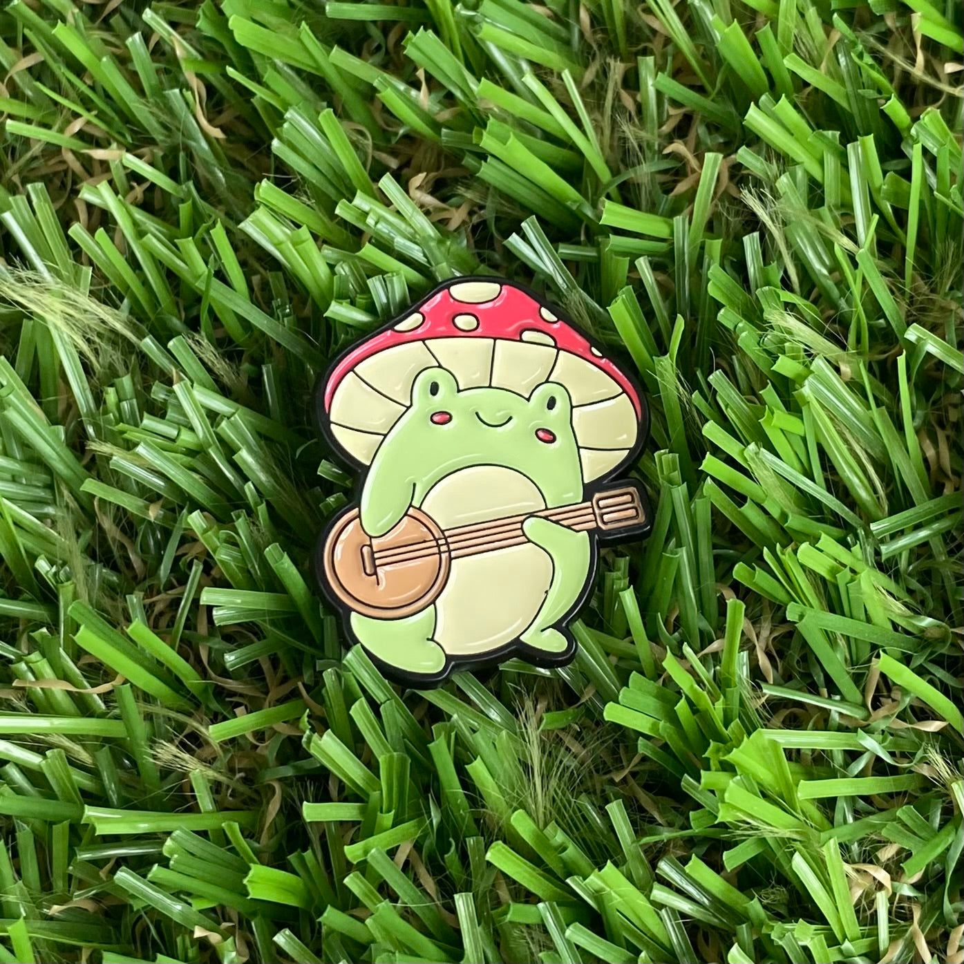 Banjo Frog Needle Minder