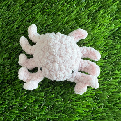 Sealife: Crab XS