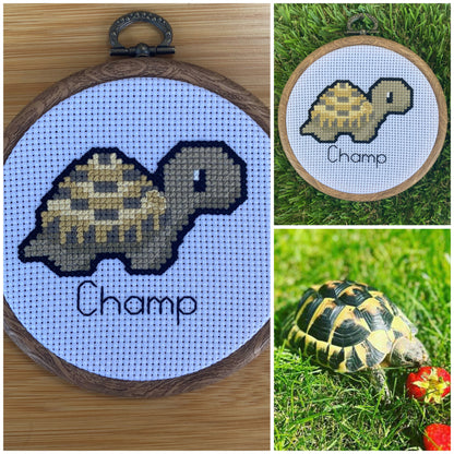 Customised Tortoise Cross Stitch